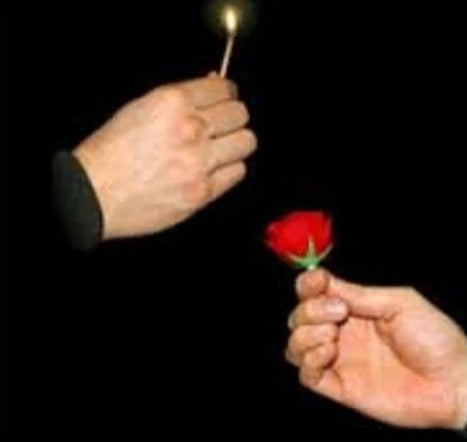Match to Flower