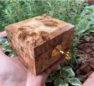 Nested Secret by Damir