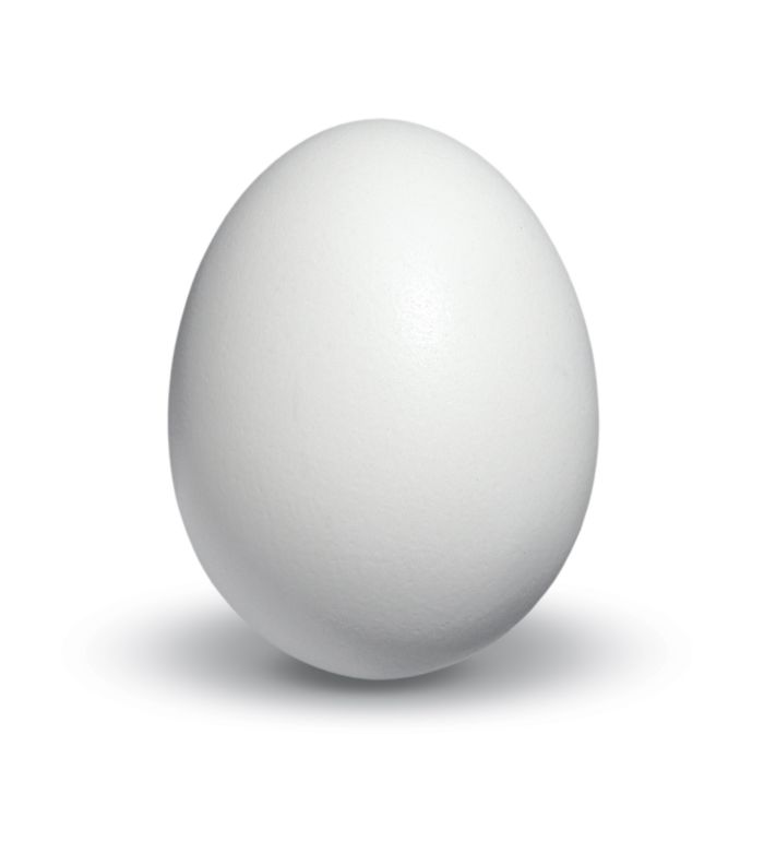 Fiberglass Egg Gem Mfg.