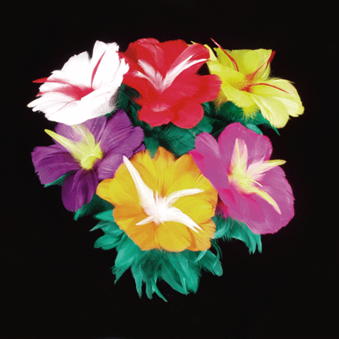 Feather Bouquet-6 Flower