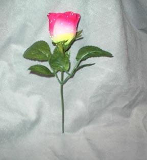 Fire Flower-Rose only