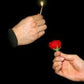 Match to Flower