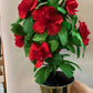 Flower Bouquets Marshall/ Branstrup