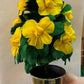Flower Bouquets Marshall/ Branstrup