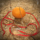 Obedient Orange