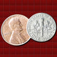 Penny Shell