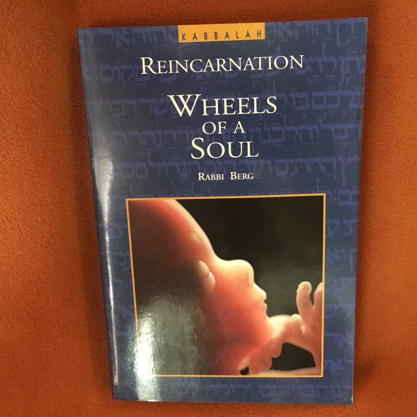 Reincarnation-Wheels of the Soul book
