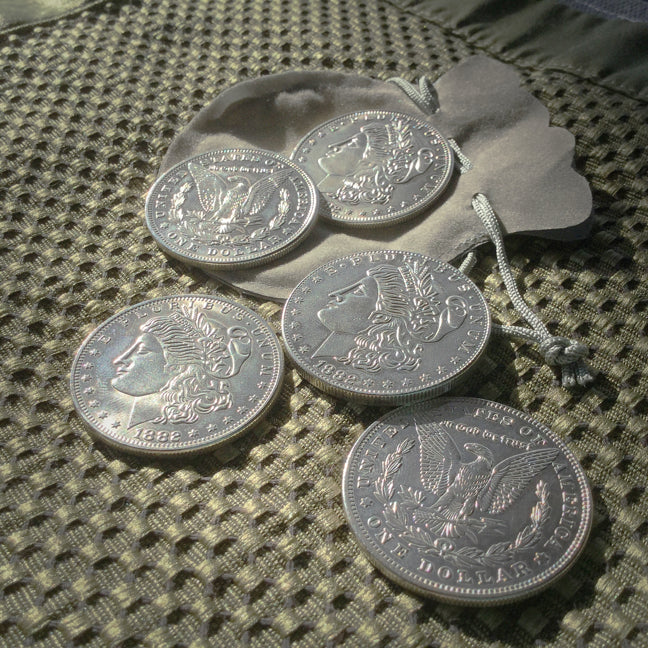 Morgan Steel Coin